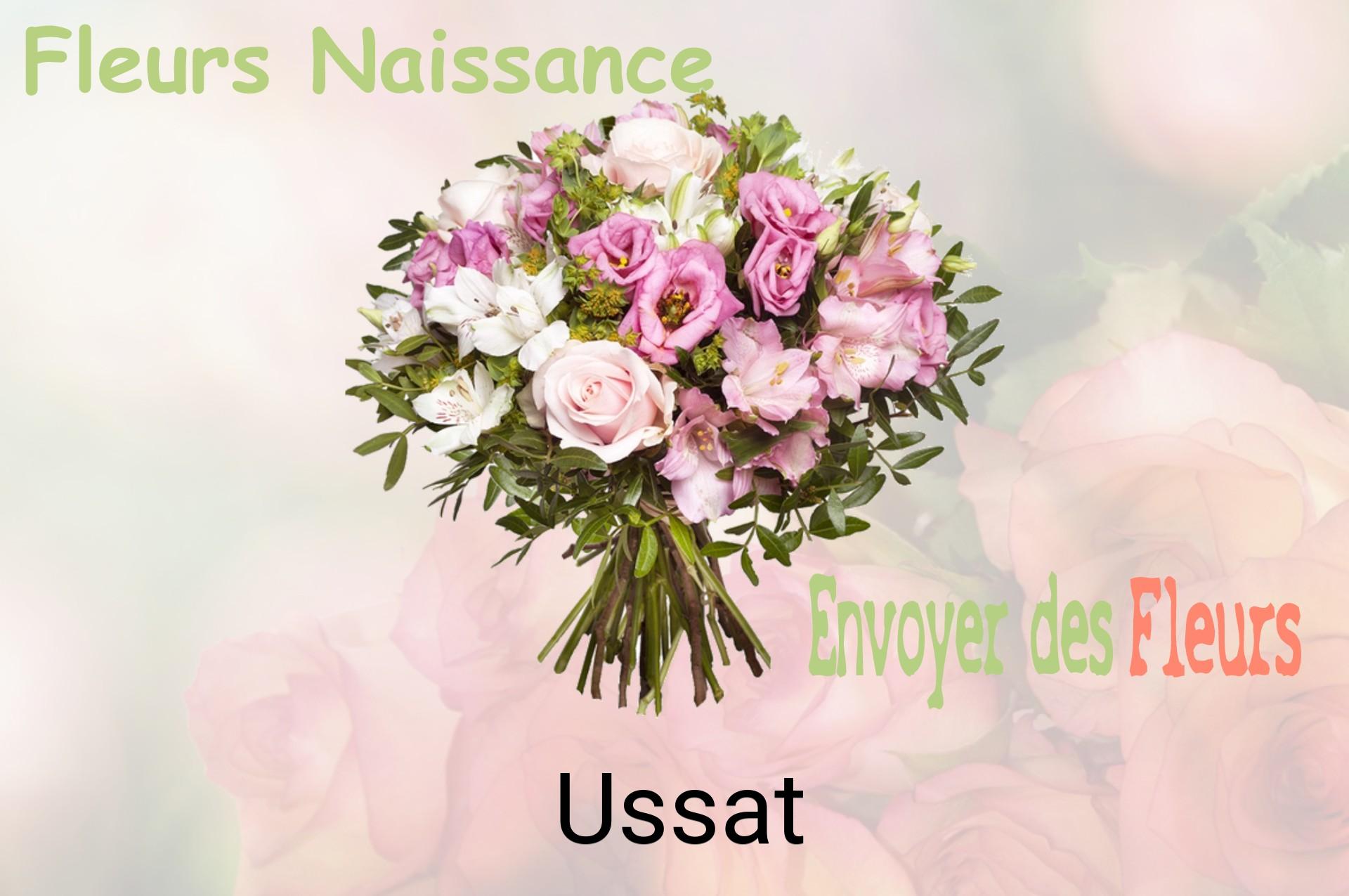 Bouquet de fleurs de naissance livré à Ussat