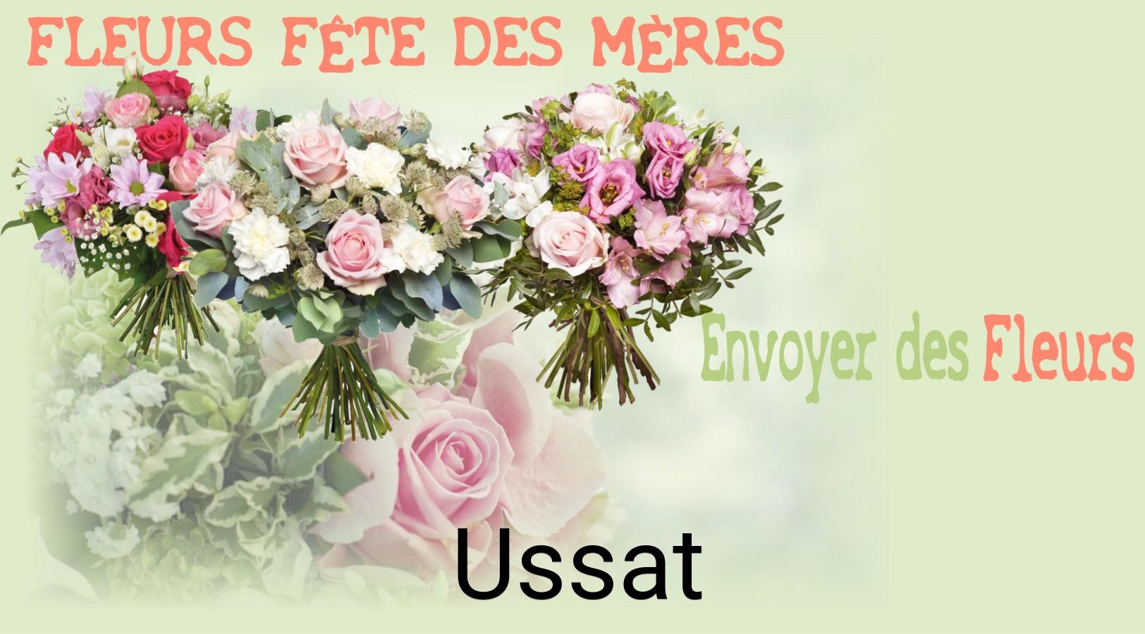 Bouquet de Fête des Mères livré à Ussat